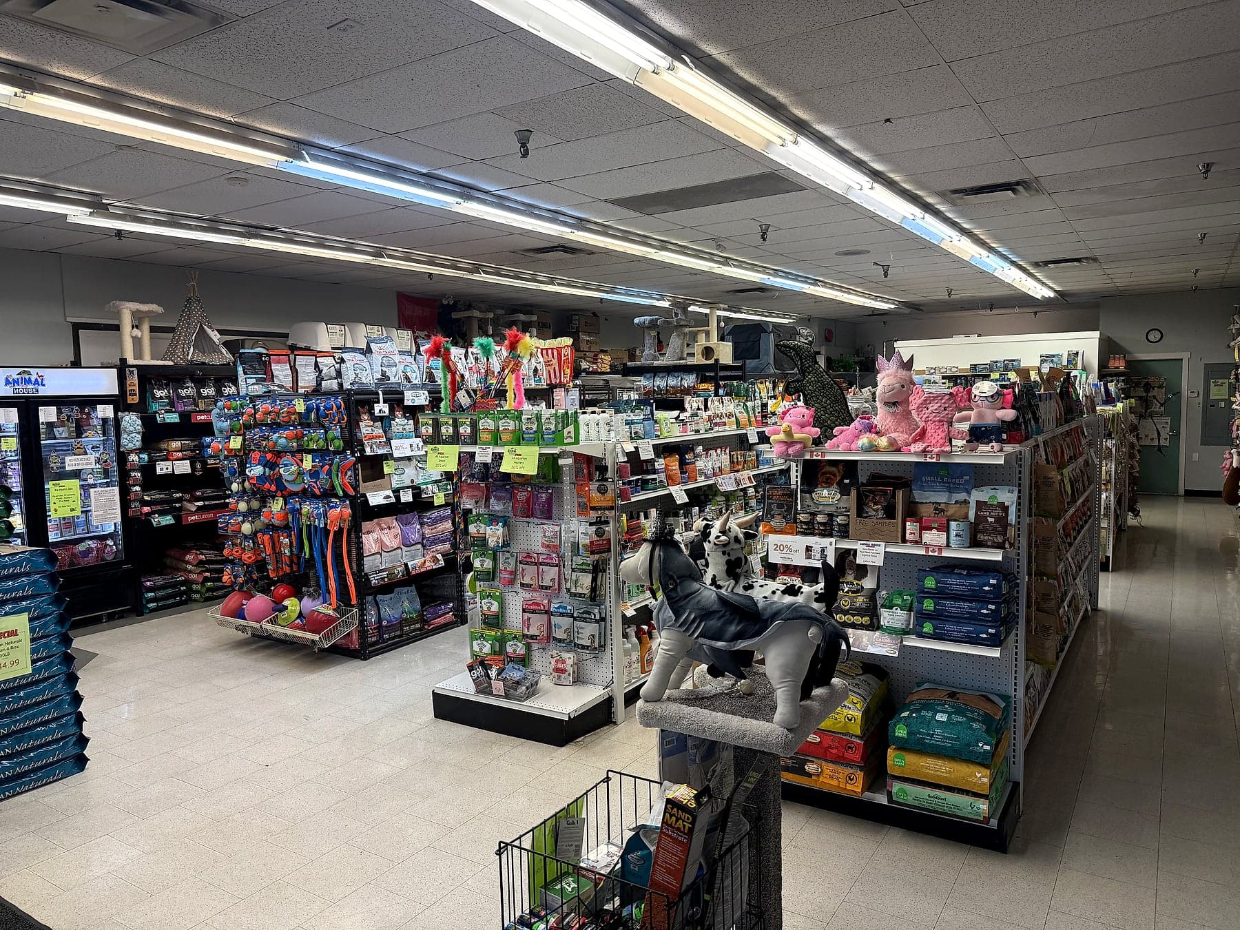 A wide view inside the Kamloops store: aisles of toys, food and supplies under bright lights