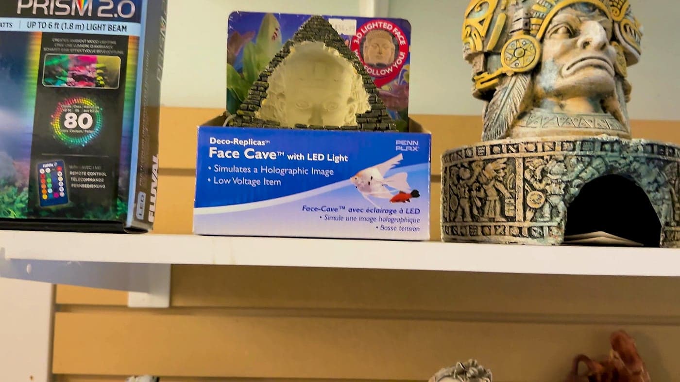A shelf of aquarium ornaments and a boxed LED cave decoration