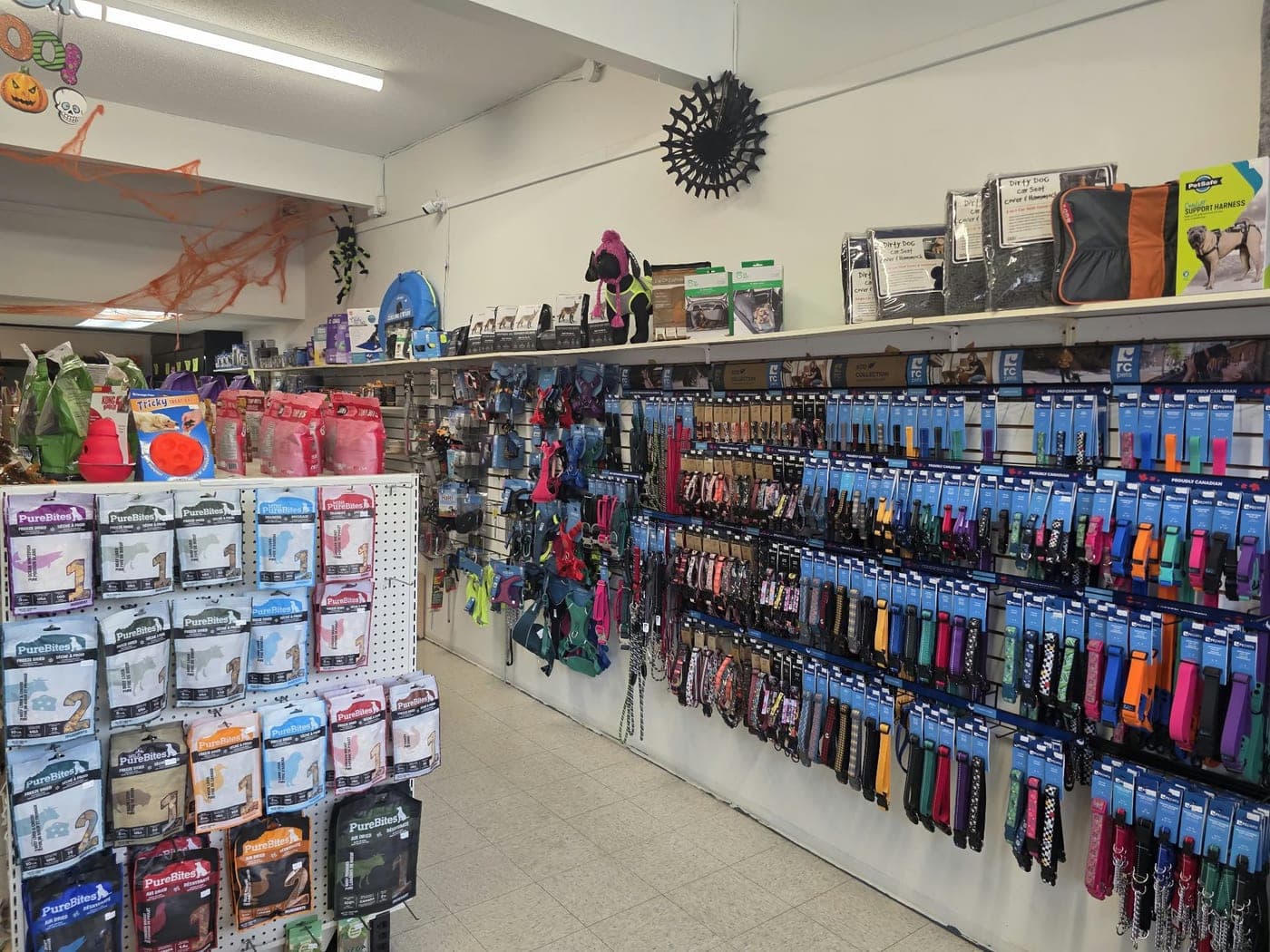 A wall of leashes, collars and harnesses in every colour at the Revelstoke store