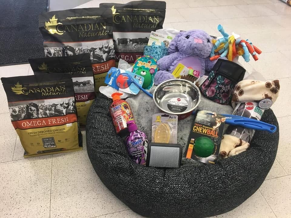 A round grey dog bed filled with plush toys, balls, a stainless steel bowl and grooming tools, beside bags of Canadian Naturals dog food